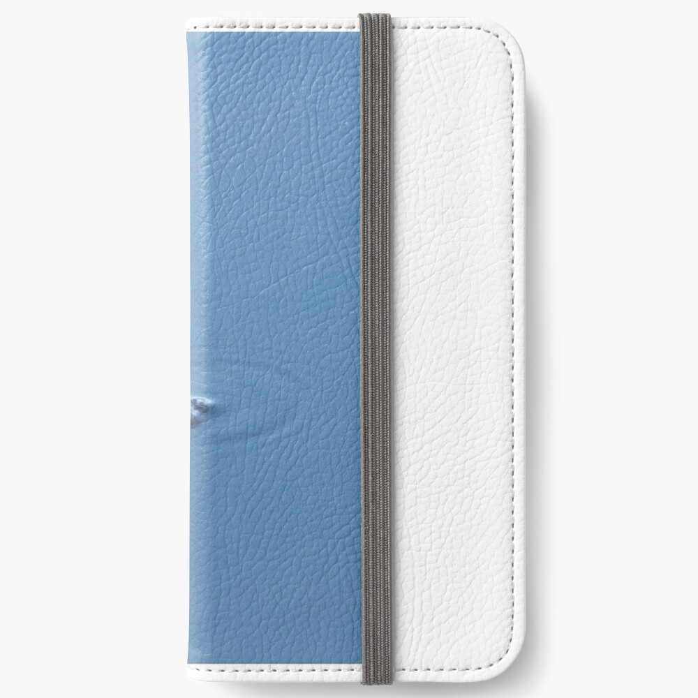 I see you iPhone Wallet