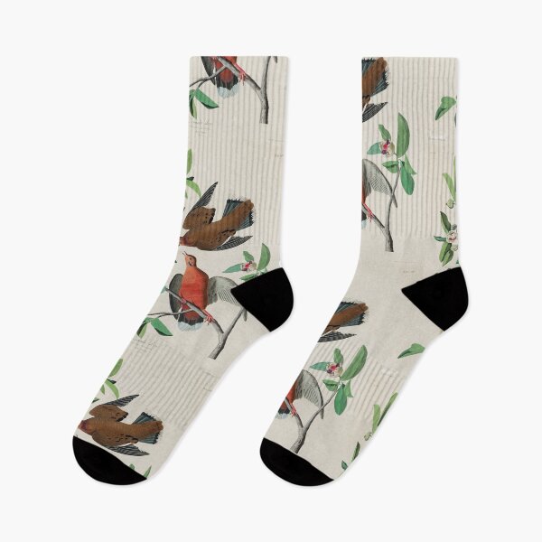 Artikelvorschau, Doves - John James Audubon entworfen und verkauft von Vintage Designs +.