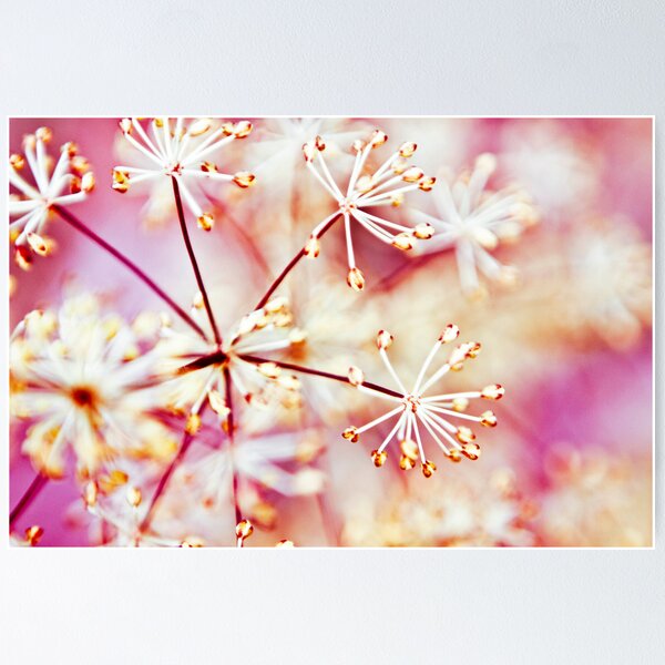 Item preview, Heavenly divine  designed and sold by Nina  Matthews Photography.