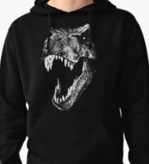 I'm a Dino Fan... Pullover Hoodie
