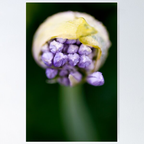 Item preview, Different Angle  designed and sold by Nina  Matthews Photography.