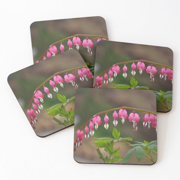 Item preview, Macro spring bleeding hearts flowers in heart shape designed and sold by JPopov.