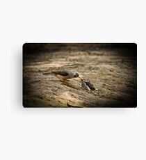 Mum and bub .... Canvas Print
