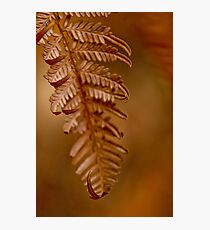 Divine art Photographic Print