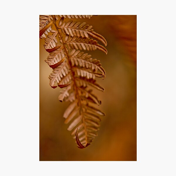 Item preview, Divine art  designed and sold by Nina  Matthews Photography.