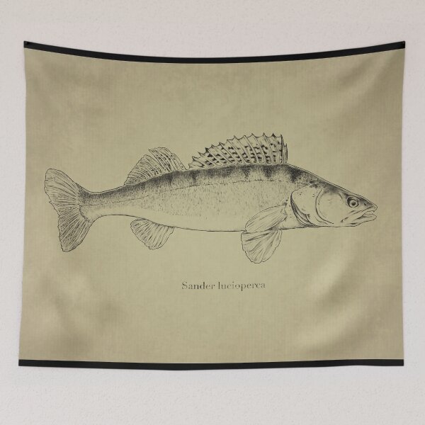 Item preview, Zander Vintage Print designed and sold by Hildes den.