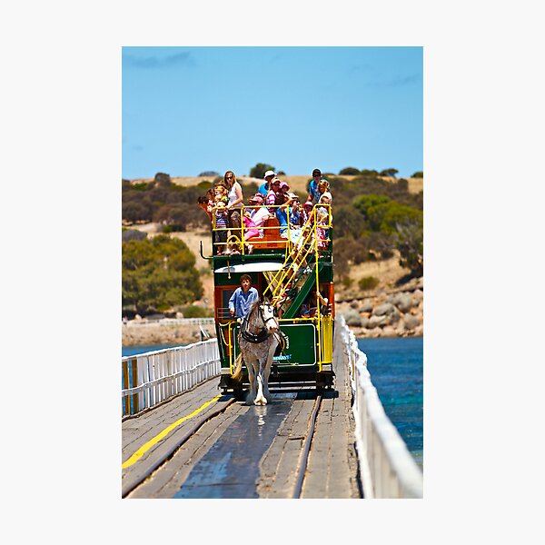 Aperçu de l'œuvre Plodding Along créée et vendue par Judith Cahill.