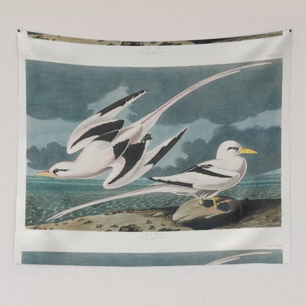 Item preview, Sea Birds - John James Audubon designed and sold by Vintage Designs +.
