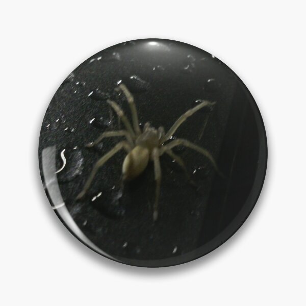 Item preview, Spider on wet car designed and sold by walterfest.
