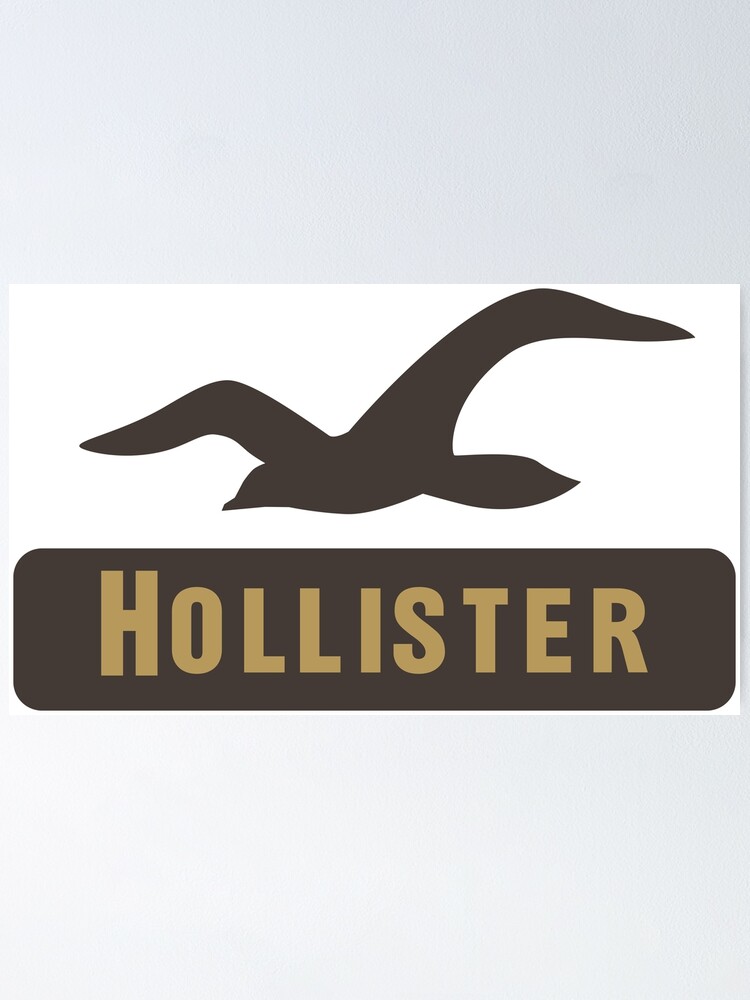 The Hollister merch\