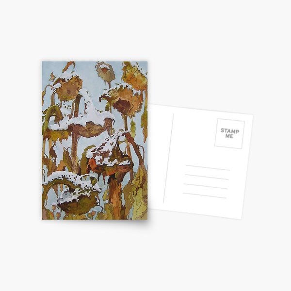 Winter sunflowers Postcard