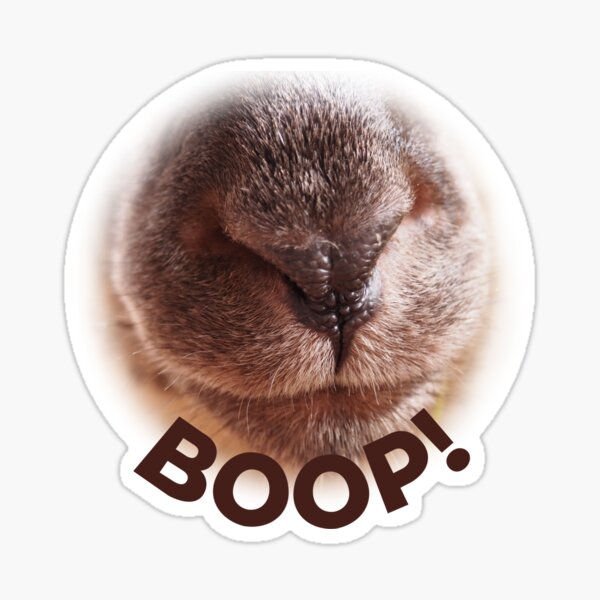 Boop The Snoot Stickers Redbubble