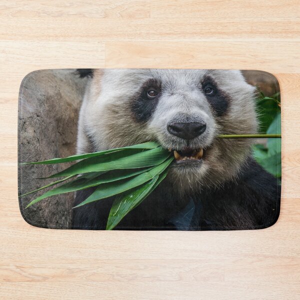 Item preview, Panda eating bamboo designed and sold by KevinVee.