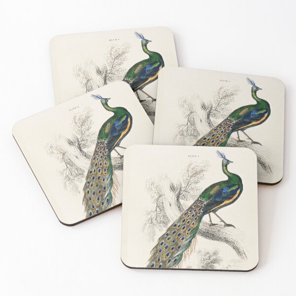 Item preview, Peacock Portrait from The Naturalist's Library 1800's designed and sold by Booboo13.