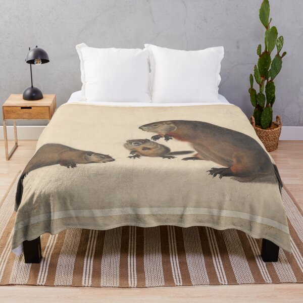 Artikelvorschau, Beavers - John James Audubon entworfen und verkauft von Vintage Designs +.