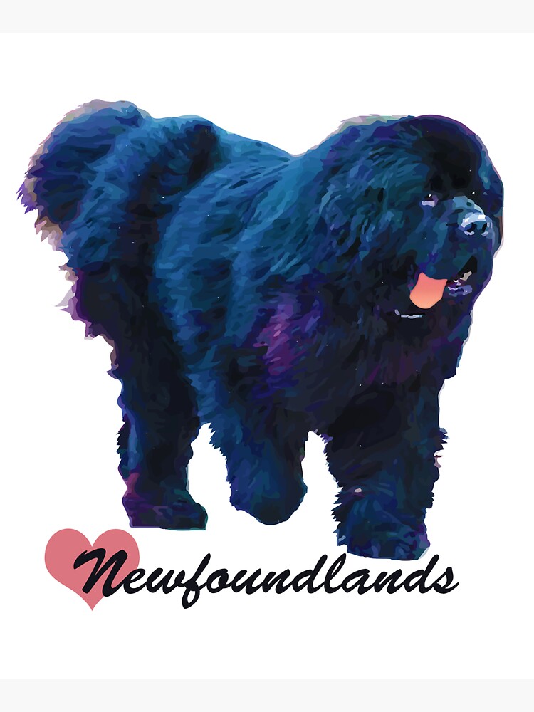 I Love Newfoundlands by itsmechris