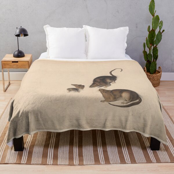Artikelvorschau, Rats - John James Audubon entworfen und verkauft von Vintage Designs +.
