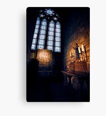 Paris 291 Canvas Print