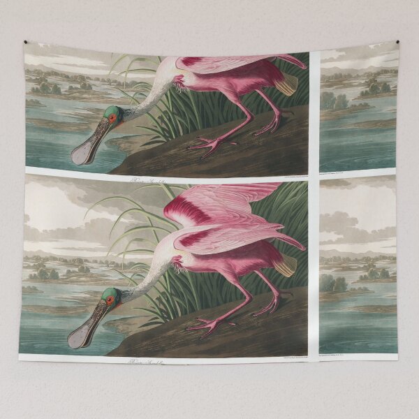 Item preview, Egyptian Bird - John James Audubon designed and sold by Vintage Designs +.