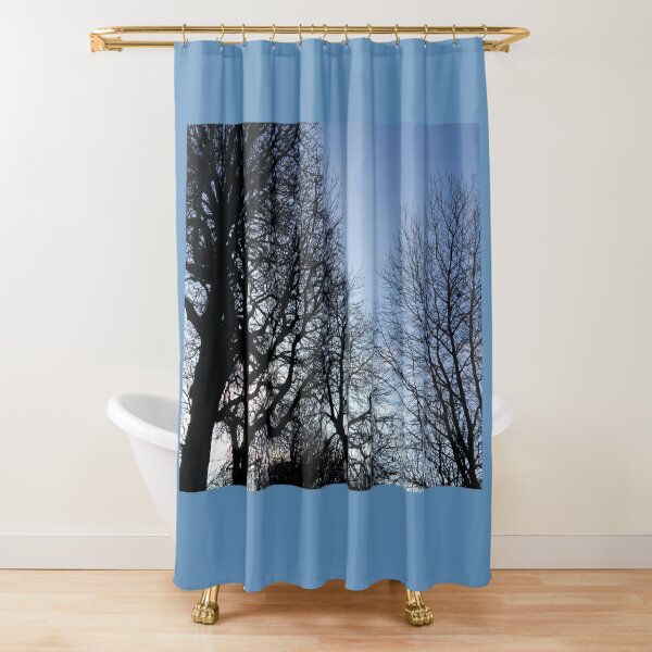 Bare branches, blue winter sky Shower Curtain