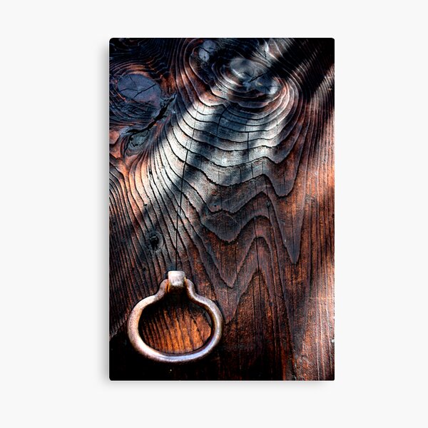 mysterious door Canvas Print