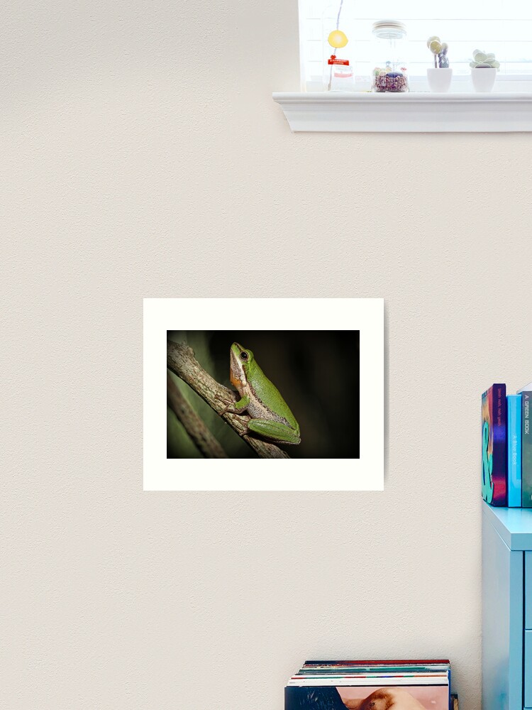 Thumbnail 2 of 3, Art Print, Frog on Branch designed and sold by theoddshot.