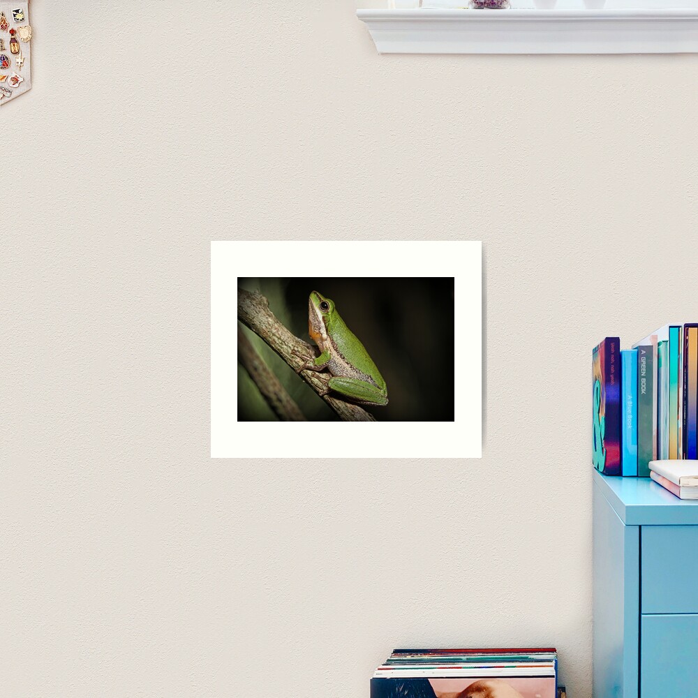 Frog on Branch Art Print