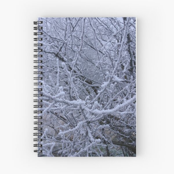 Item preview, Frosty twigs, Hob Moor, York designed and sold by paulboizot.