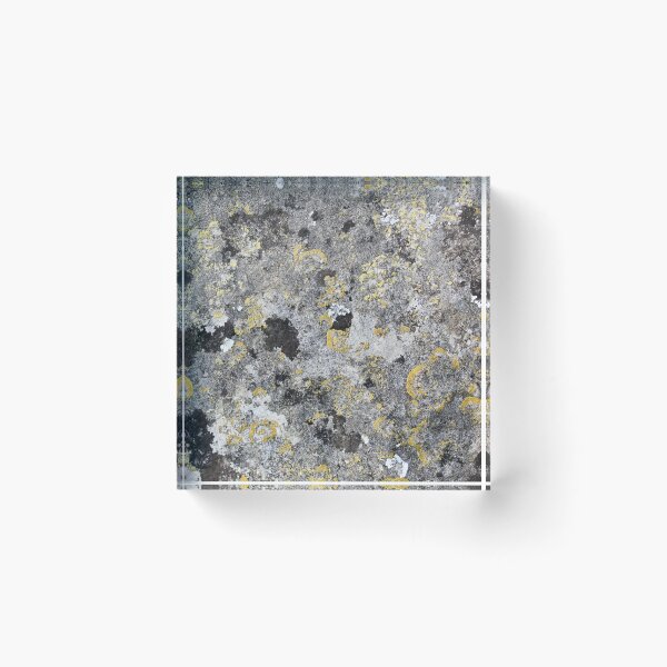 Item preview, Close up of lichen on ancient stone designed and sold by DanaAndTheBooks.