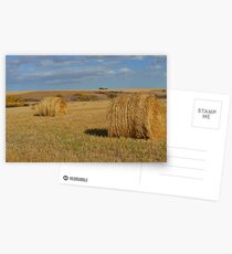Canadian Prairies Postcards