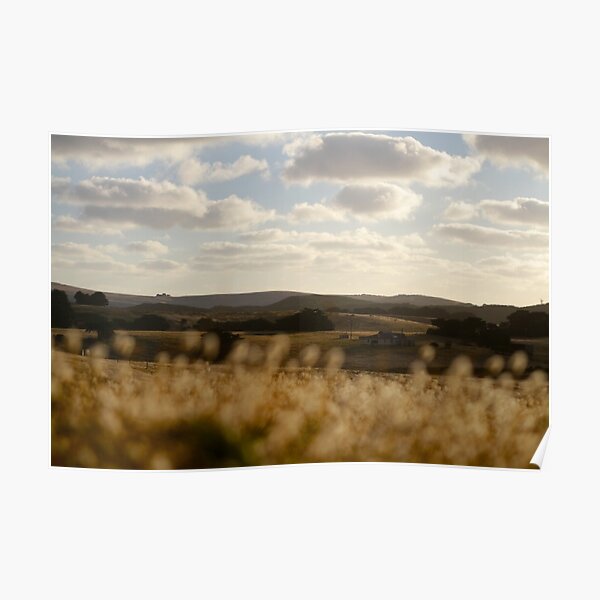 Sun Parched Fields of Bridgewater Bay Poster