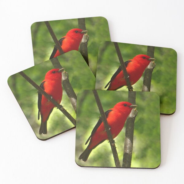 Item preview, Scarlet Tanager designed and sold by shotsfromthehip.