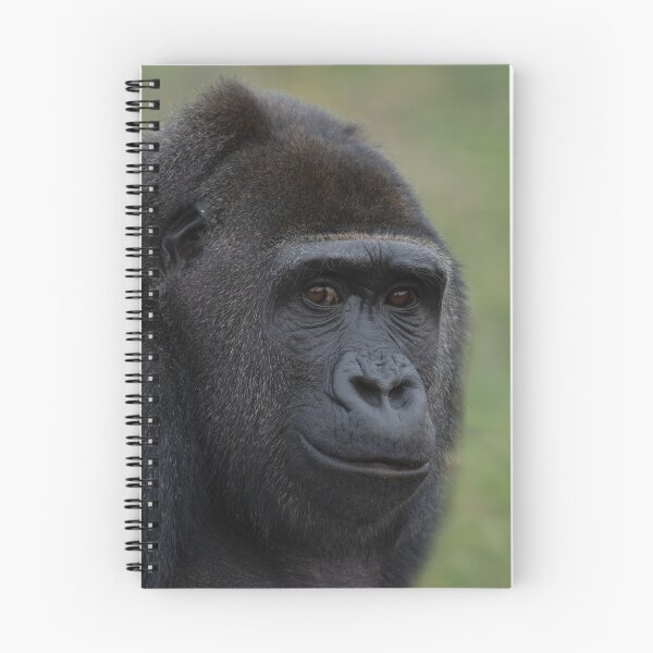 Item preview, Gorilla Portrait designed and sold by rawshutterbug.