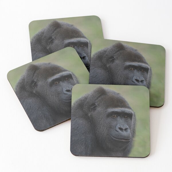 Item preview, Gorilla Portrait designed and sold by rawshutterbug.