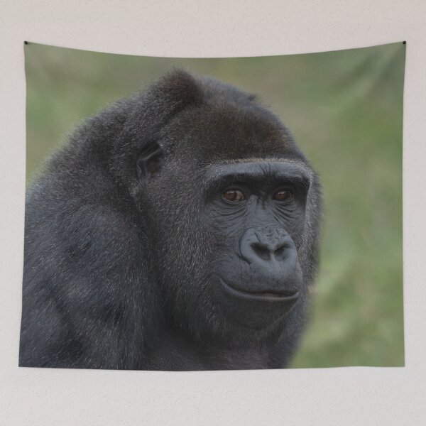 Item preview, Gorilla Portrait designed and sold by rawshutterbug.