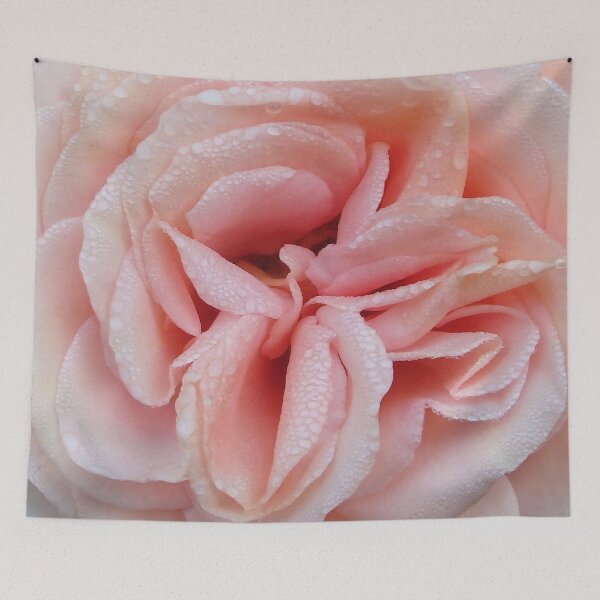 Item preview, Sunset Celebration Rose designed and sold by shotsfromthehip.