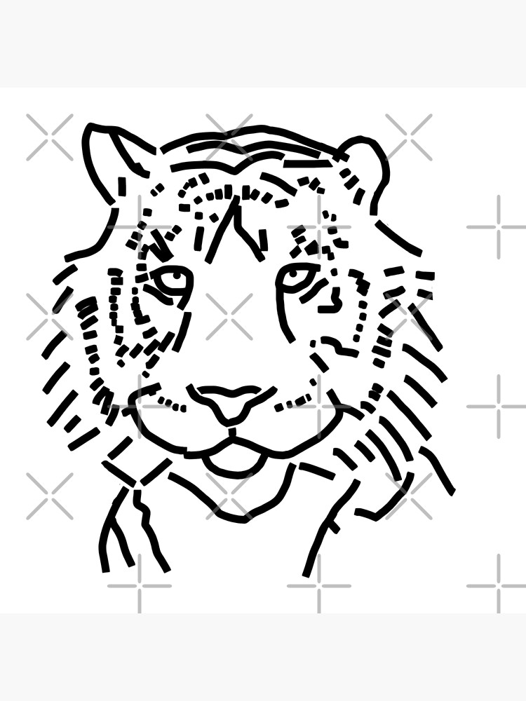 Royal Bengal Tiger of Sundarban | How to draw a Tiger sketch step by step -  YouTube