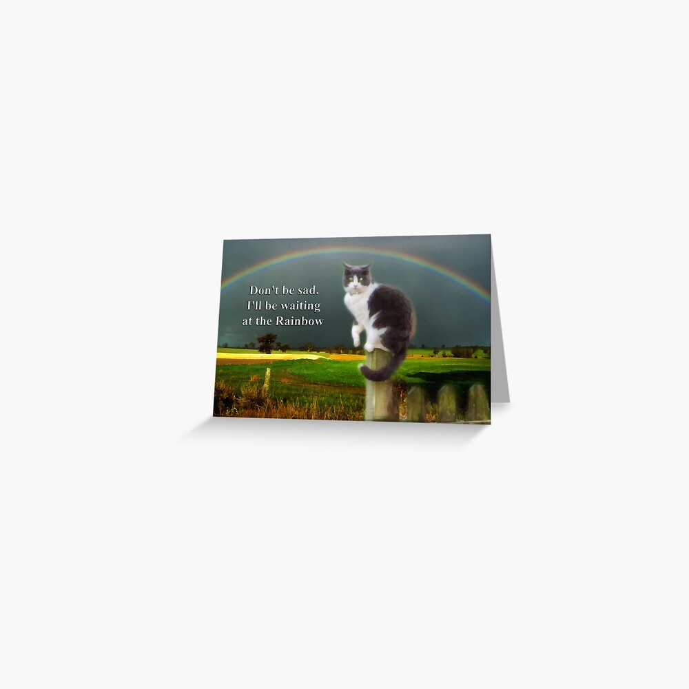 Cat Sympathy Card Greeting Card