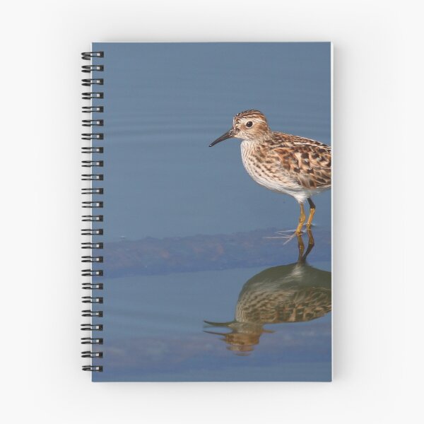 Item preview, Menos sandpiper designed and sold by Lynda McDonald.