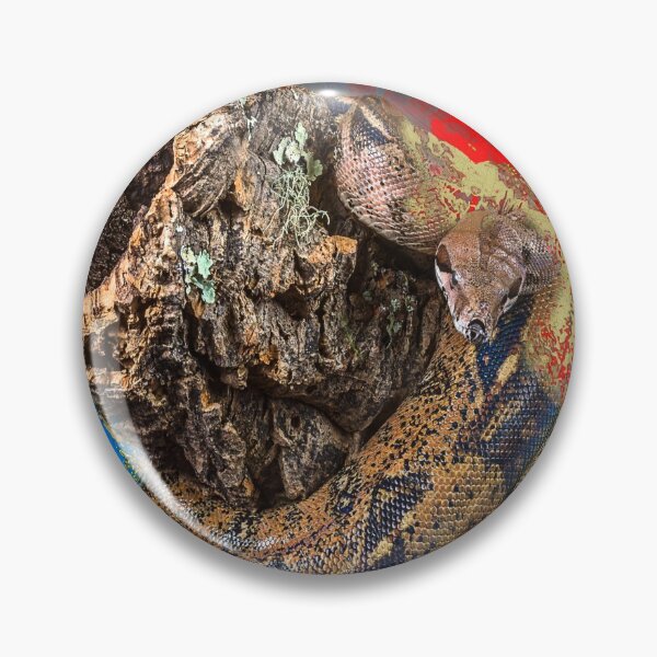 Artikelvorschau, Boa Constrictor Digitale Kunst entworfen und verkauft von Darren Wilkes.