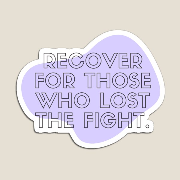 Recovery Magnets For Sale