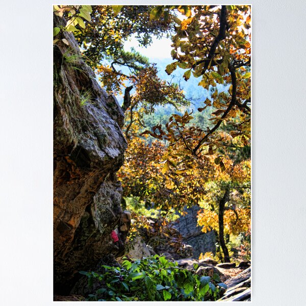 Item preview, Fall Color At Robber's Cave designed and sold by Carolyn Fletcher.