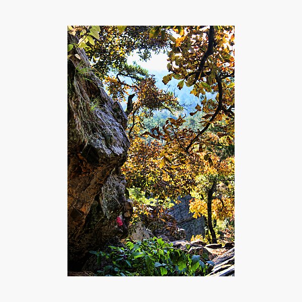 Artikelvorschau, Fall Color At Robber's Cave entworfen und verkauft von Carolyn  Fletcher.