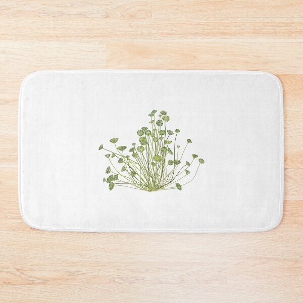 Item preview, Acetabularia or mermaid's wineglass, genus green algae designed and sold by Familyshmot.