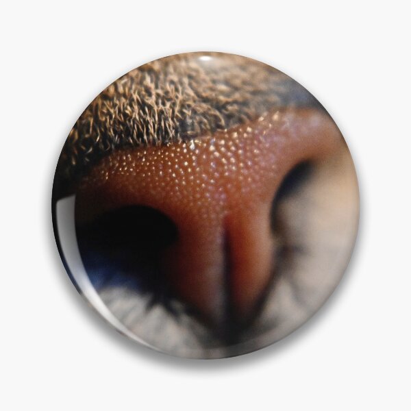 Item preview, sniff designed and sold by Pepitaphotos.