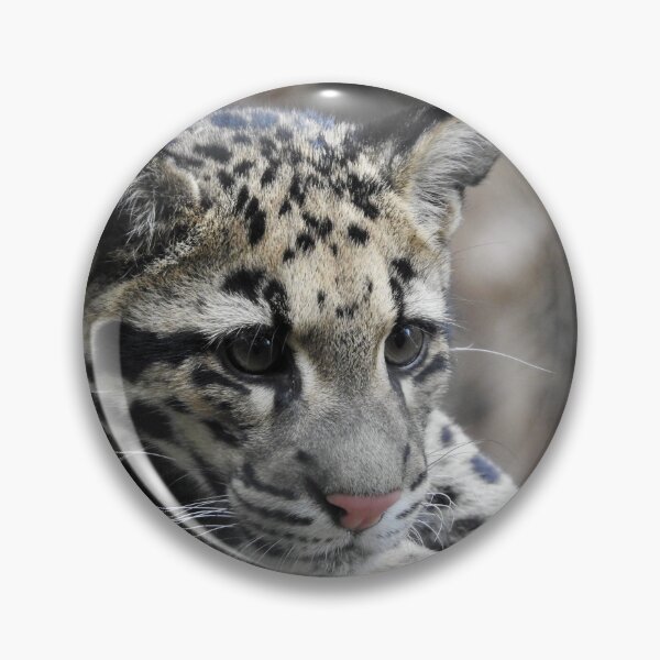 Item preview, cloud leopard designed and sold by Pepitaphotos.