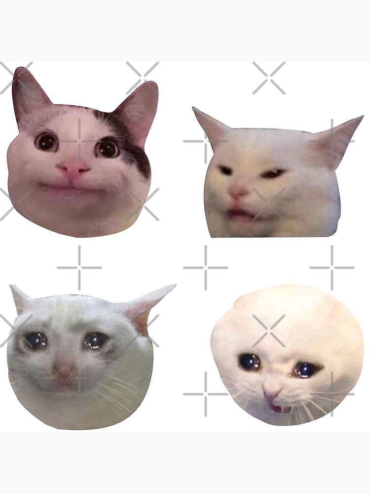 45 Matching ideas  cat icon, cat memes, cute cats