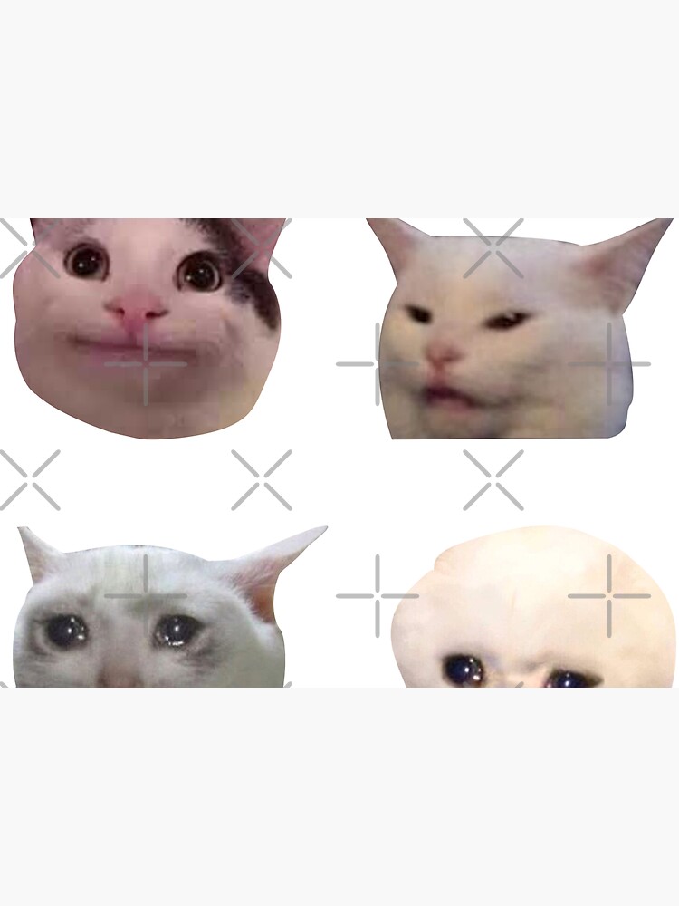 Meme Cats Pack of Stickers by saracreates
