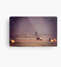 Morning Fish Metal Print