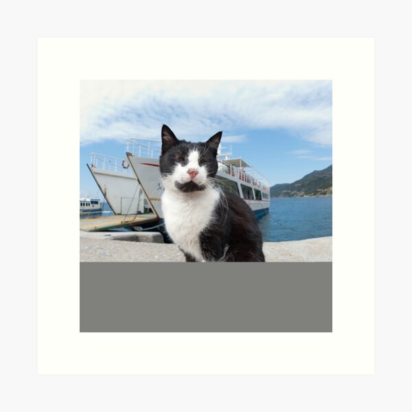 Item preview, Black & White Cat at the Port designed and sold by Vassia Sarri.